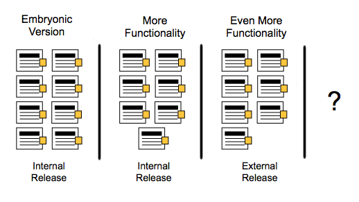 Evolutionary Release Planning