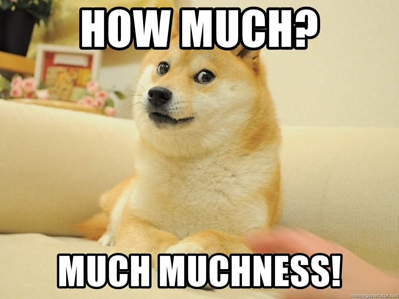 a doge meme with the dog asking "how much"