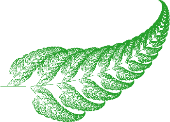 fractal_fern1