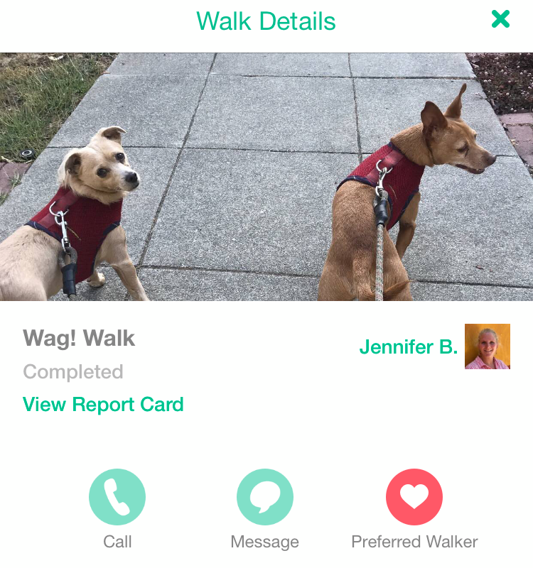 application with images of two dogs on leashes, and phone, conversation, and heart icons