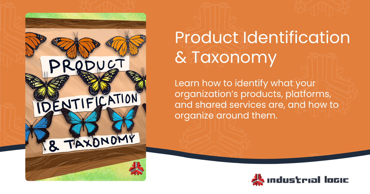 Product Identification and Taxonomy